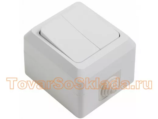 Выключатель двухклавишный влагозащищенный открытой установки 10 А IP44 PROCONNECT